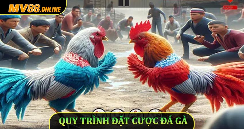Quy trình đặt cược đá gà Mv88