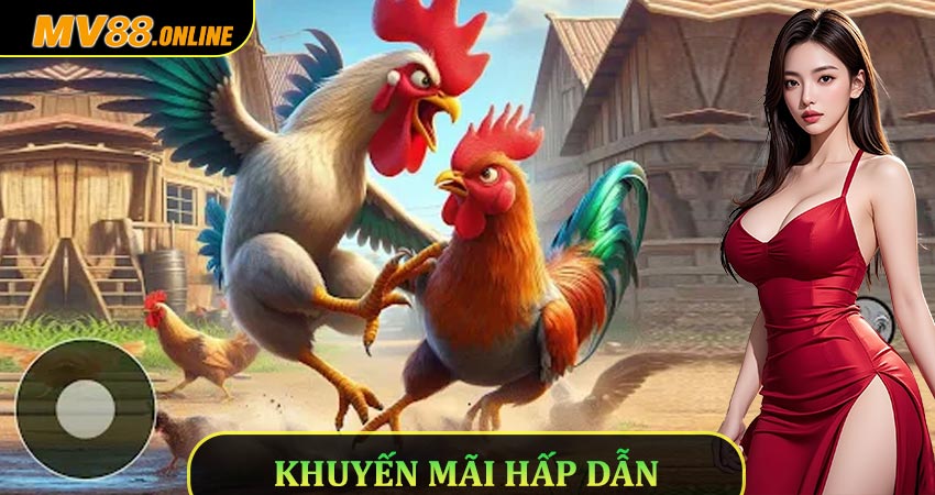 Siêu khuyến mãi hấp dẫn