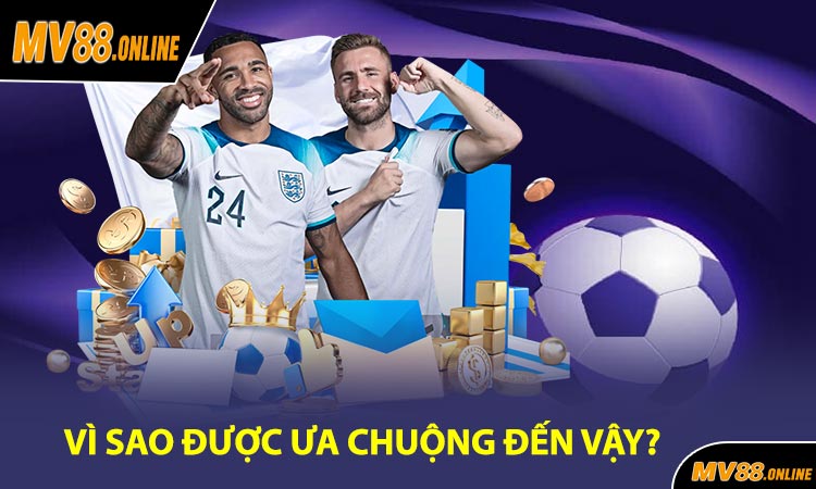 vì Sao Được Ưa Chuộng Đến Vậy?